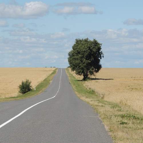 Photo #7867862