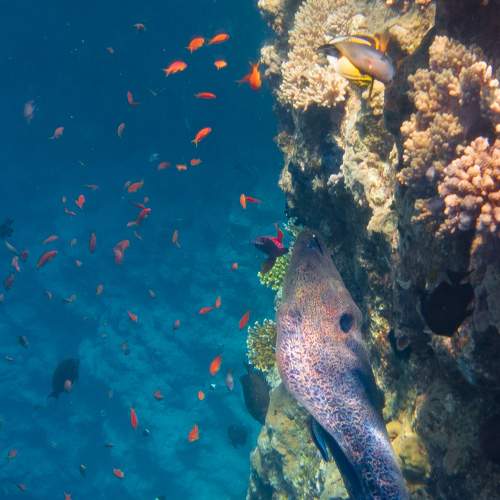 Photo #7868196