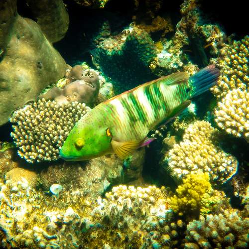 Photo #7868198
