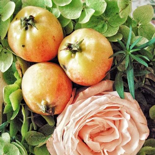 Photo #7868648