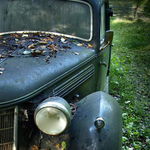 Фотография #7868654