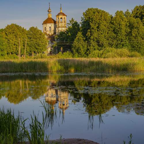 Photo #7868863