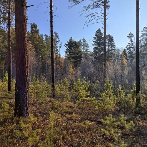Photo #7868966