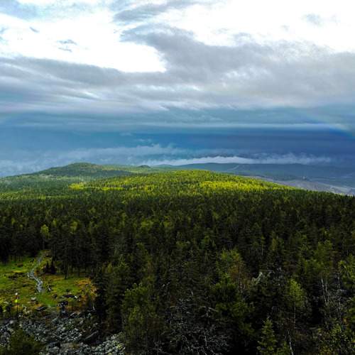 Photo #7869113
