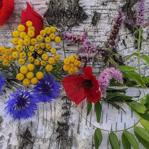 Photo #7869344