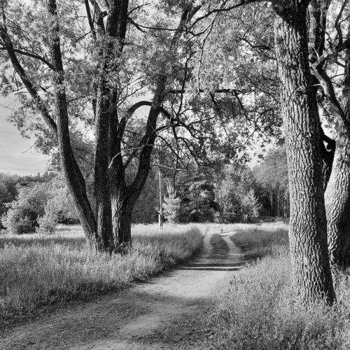 Photo #7869366