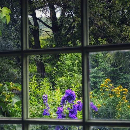 Photo #7869524