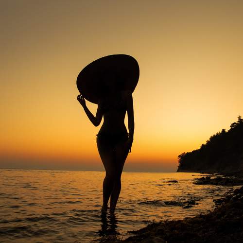 Photo #7869701