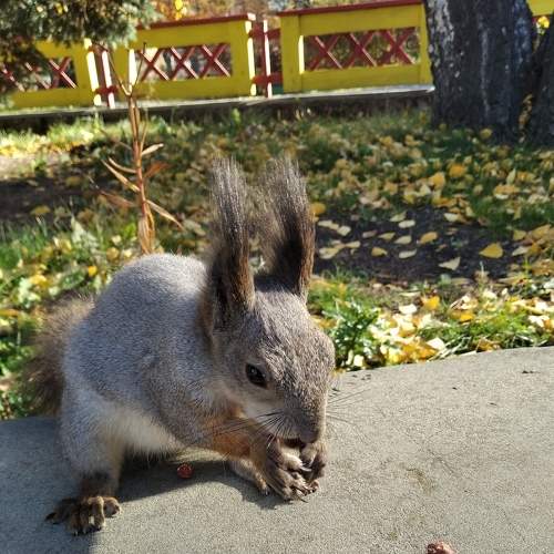 Photo #7869781