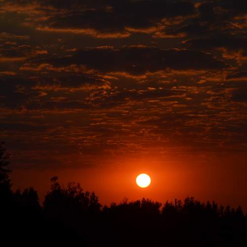 Photo #7869839