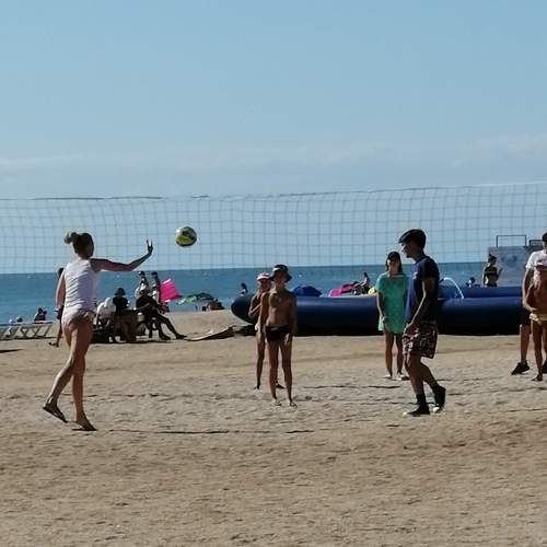 Photo #7869953