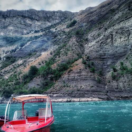 Photo #7870154