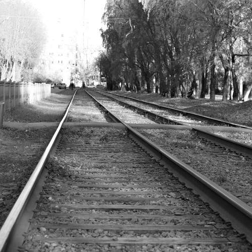 Photo #7870369