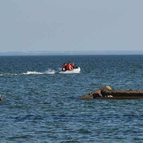 Photo #7870618