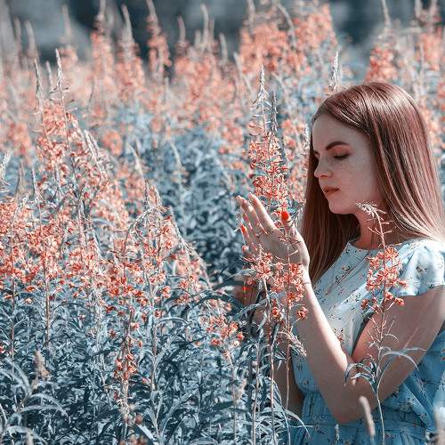 Photo #7870978