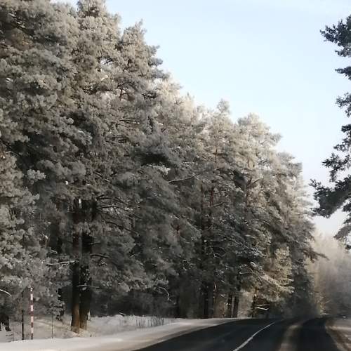 Photo #7870988