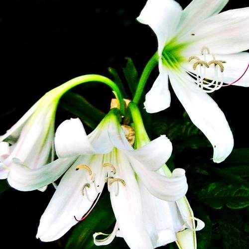 Photo #7871321
