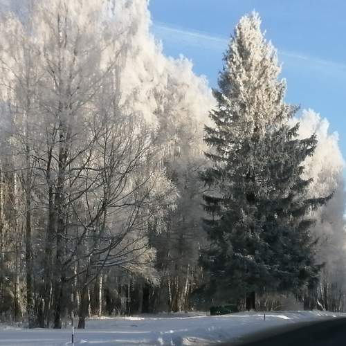 Photo #7871462