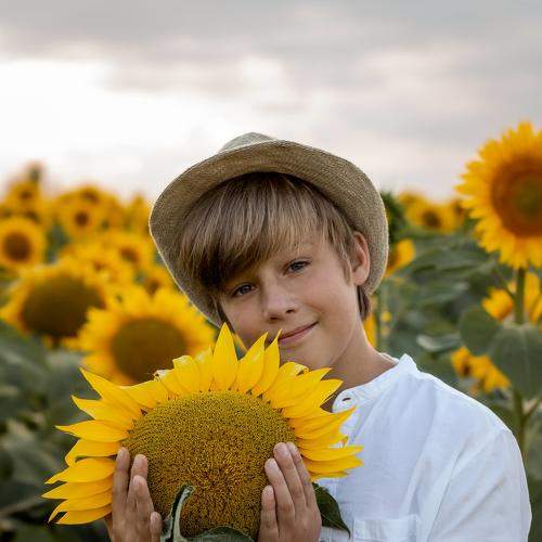 Photo #7871644