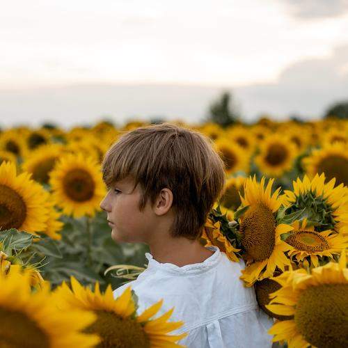 Photo #7871654