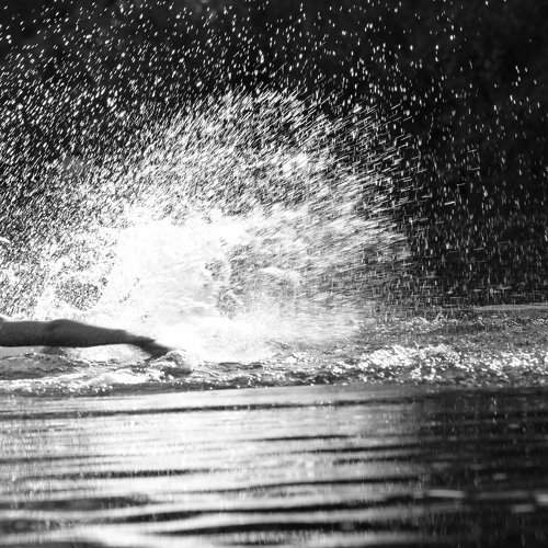 Photo #7871986