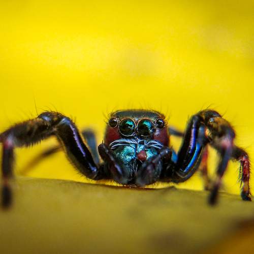 Photo #7872175