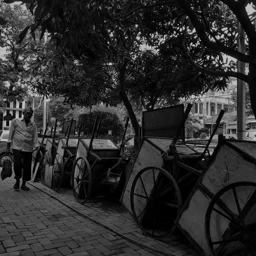 Photo #7872460
