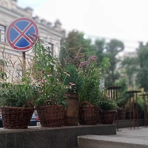 Photo #7872488