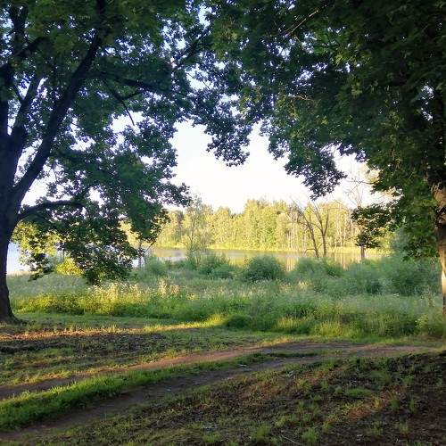 Photo #7872555