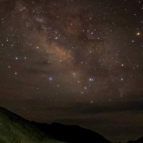 Photo #7872592