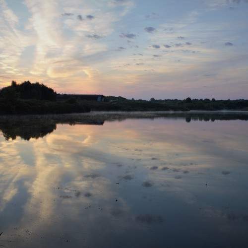 Photo #7872614