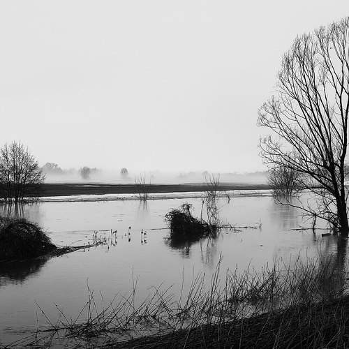 Photo #7872718