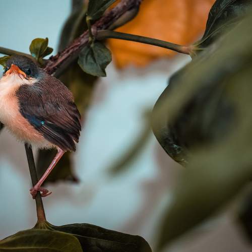 Photo #7872754