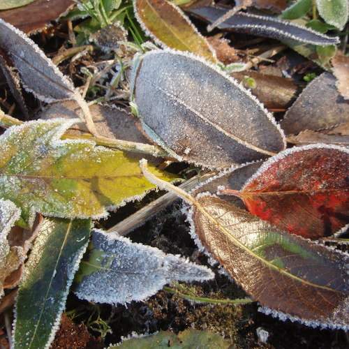 Photo #7873059