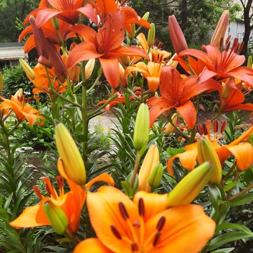 Photo #7873202