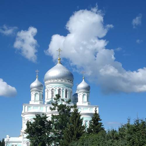 Photo #7873514