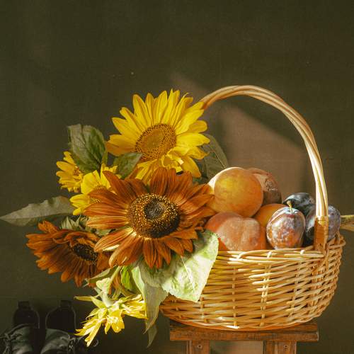 Photo #7873996