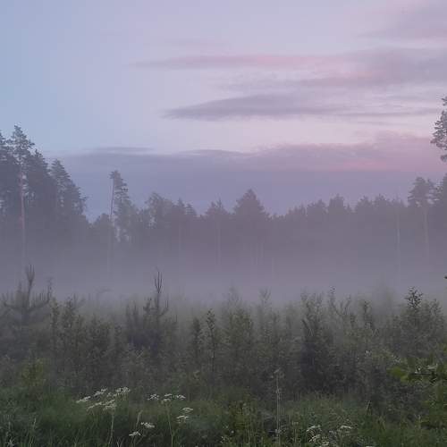 Photo #7874123