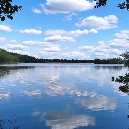 Photo #7874194