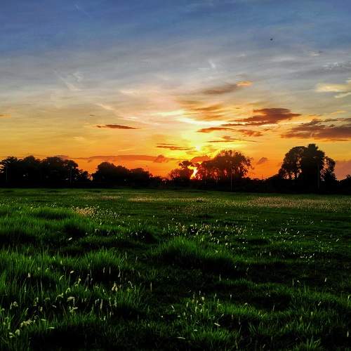 Photo #7874206