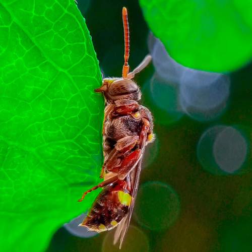 Photo #7874260