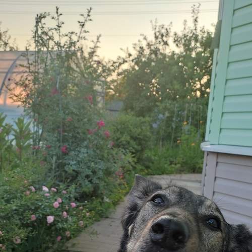 Photo #7874317