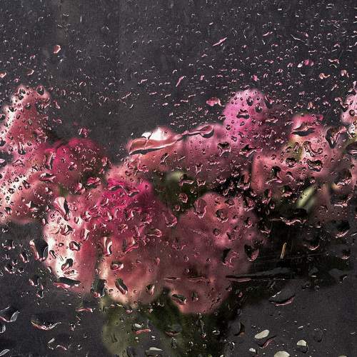 Photo #7874644