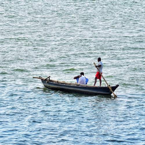Photo #7875560