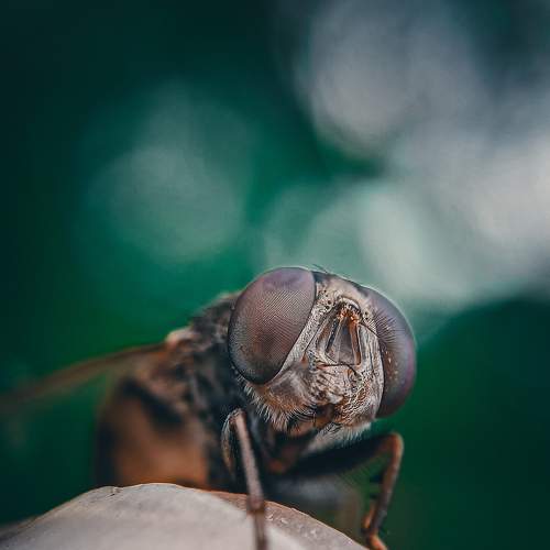 Photo #7875596