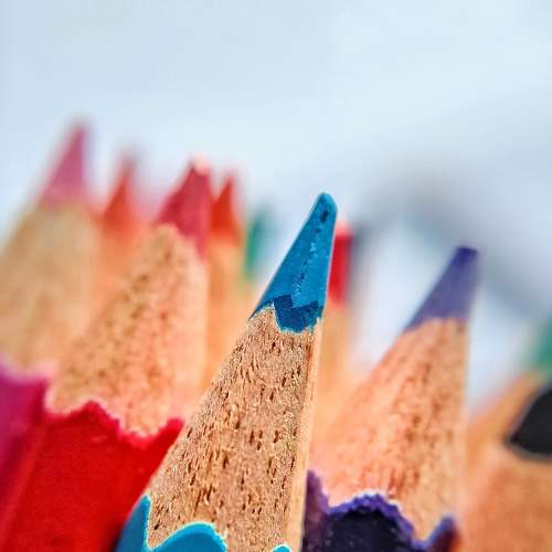 Photo #7875597