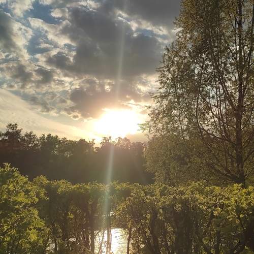 Photo #7876573