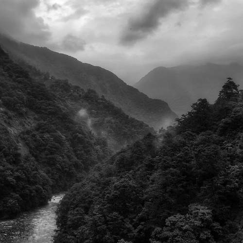 Photo #7876711