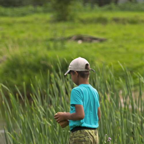 Photo #7877066