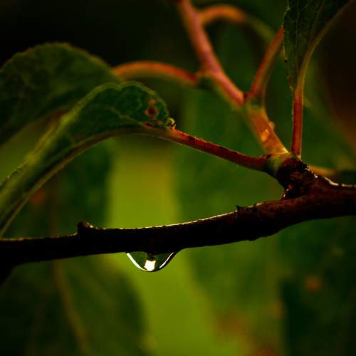 Photo #7877221